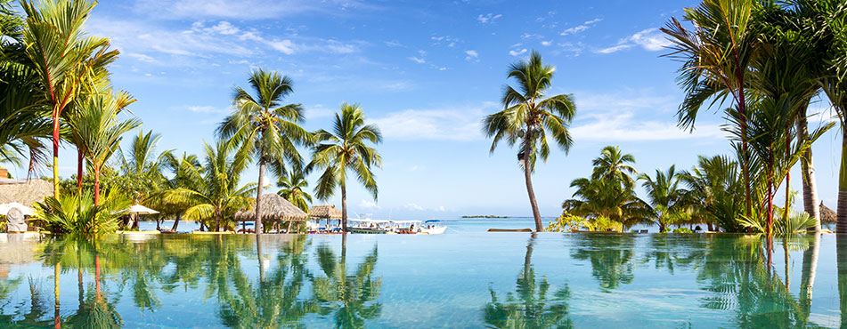 Teaserbild Partner Pool Palmen